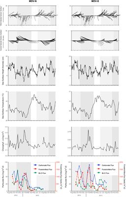 Planktonic foraminifera fluxes and their response to the Asian Monsoon: insights from the Maldives, Indian Ocean